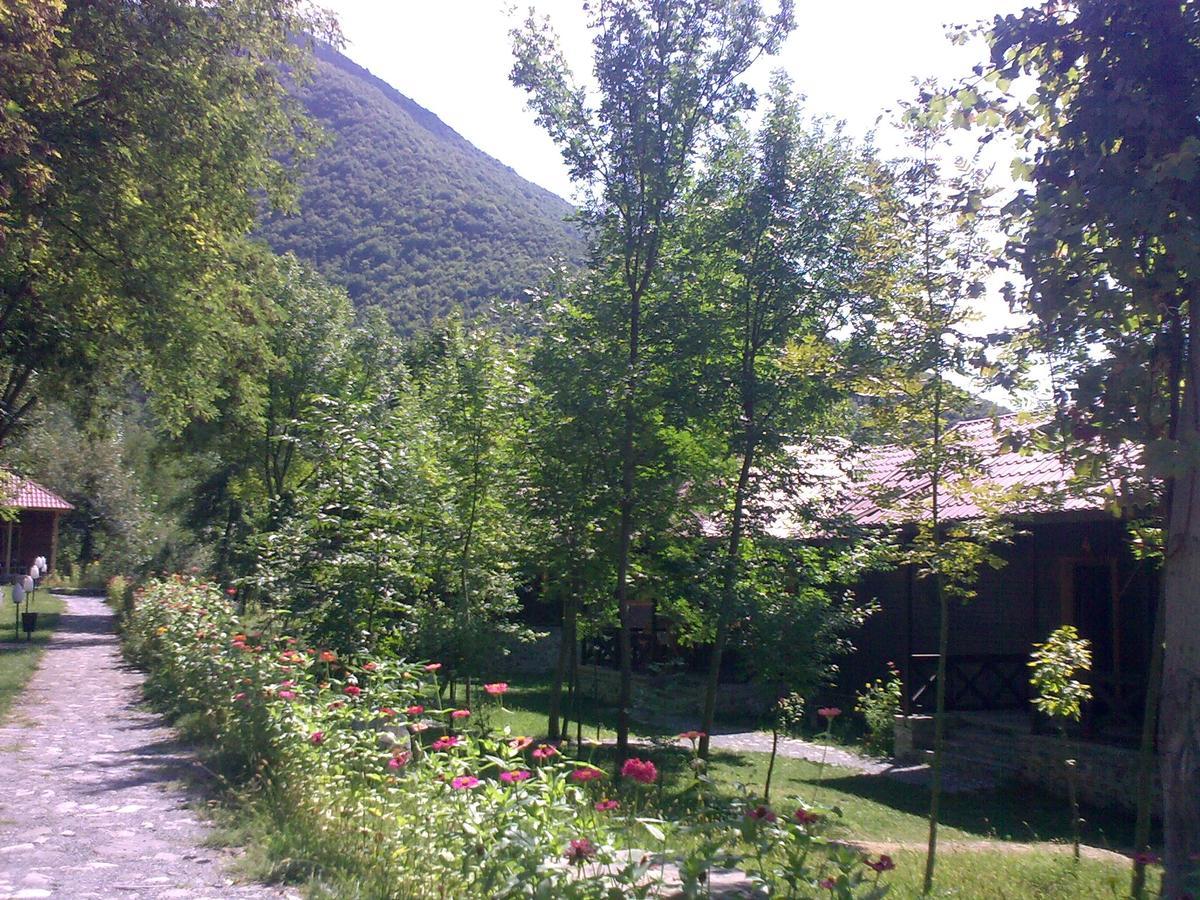 Kish Adasi Şǝki Kültér fotó