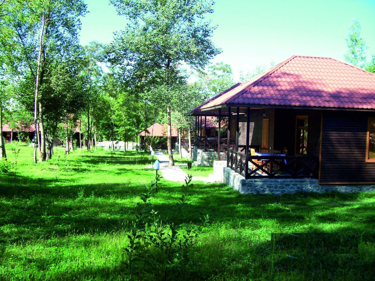 Kish Adasi Şǝki Kültér fotó
