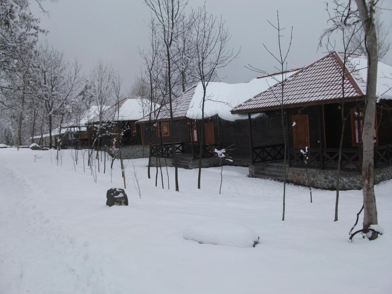 Kish Adasi Şǝki Kültér fotó